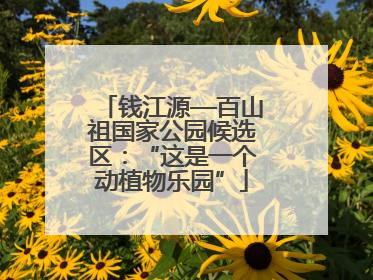 钱江源—百山祖国家公园候选区：“这是一个动植物乐园”