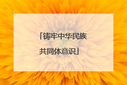 铸牢中华民族共同体意识