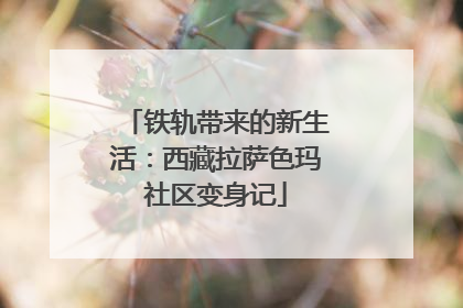 铁轨带来的新生活：西藏拉萨色玛社区变身记