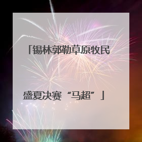 锡林郭勒草原牧民盛夏决赛“马超”