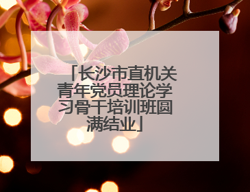 长沙市直机关青年党员理论学习骨干培训班圆满结业