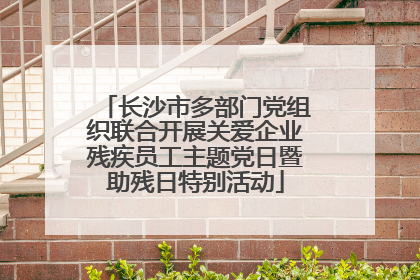 长沙市多部门党组织联合开展关爱企业残疾员工主题党日暨助残日特别活动