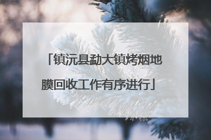镇沅县勐大镇烤烟地膜回收工作有序进行