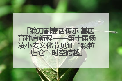 镰刀割麦话传承 基因育种启新程——第十届杨凌小麦文化节见证“颗粒归仓”时空跨越