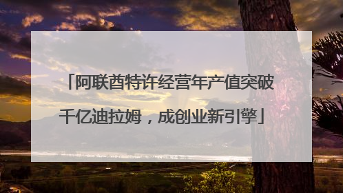 阿联酋特许经营年产值突破千亿迪拉姆，成创业新引擎