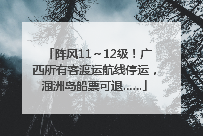 阵风11～12级！广西所有客渡运航线停运，涠洲岛船票可退……