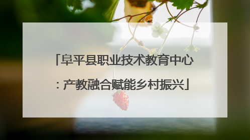 阜平县职业技术教育中心：产教融合赋能乡村振兴