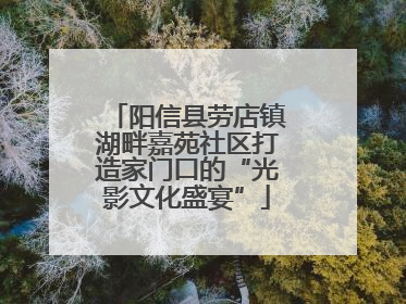 阳信县劳店镇湖畔嘉苑社区打造家门口的“光影文化盛宴”