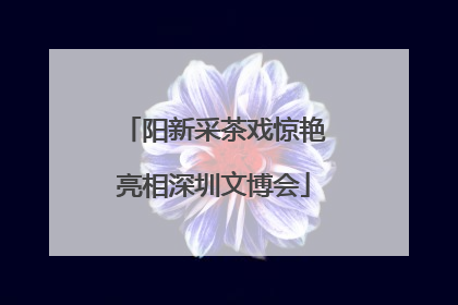 阳新采茶戏惊艳亮相深圳文博会