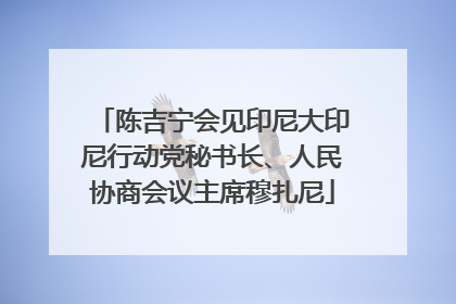陈吉宁会见印尼大印尼行动党秘书长、人民协商会议主席穆扎尼