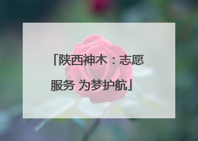 陕西神木：志愿服务 为梦护航