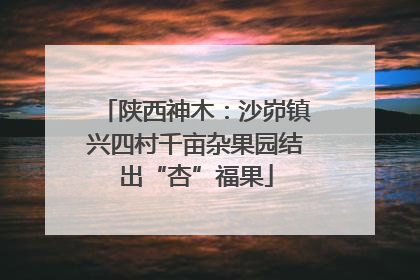 陕西神木：沙峁镇兴四村千亩杂果园结出“杏”福果
