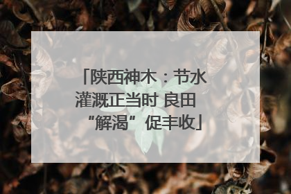 陕西神木：节水灌溉正当时 良田“解渴”促丰收