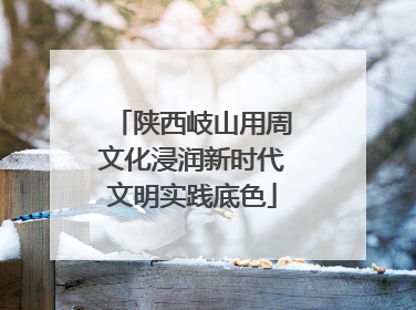 陕西岐山用周文化浸润新时代文明实践底色
