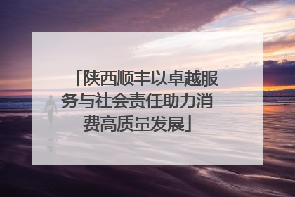 陕西顺丰以卓越服务与社会责任助力消费高质量发展