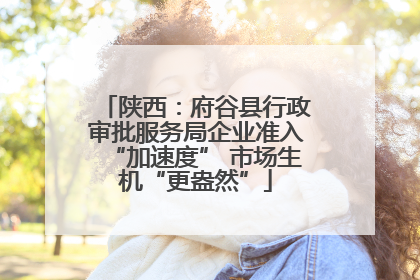 陕西：府谷县行政审批服务局企业准入“加速度” 市场生机“更盎然”
