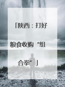 陕西：打好粮食收购“组合拳”