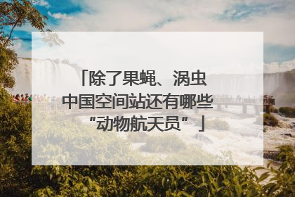 除了果蝇、涡虫 中国空间站还有哪些“动物航天员”