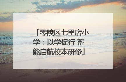 零陵区七里店小学：以学促行 蓄能启航校本研修