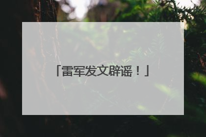 雷军发文辟谣！