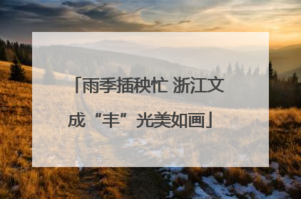 雨季插秧忙 浙江文成“丰”光美如画
