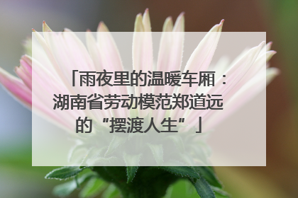 雨夜里的温暖车厢：湖南省劳动模范郑道远的“摆渡人生”