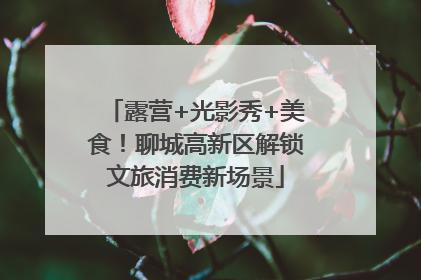 露营+光影秀+美食！聊城高新区解锁文旅消费新场景