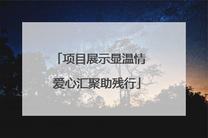 项目展示显温情 爱心汇聚助残行