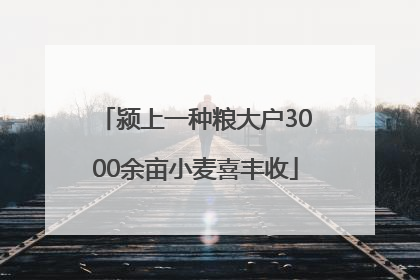 颍上一种粮大户3000余亩小麦喜丰收