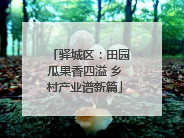 驿城区：田园瓜果香四溢 乡村产业谱新篇