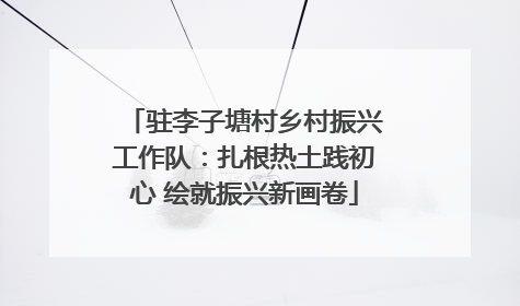 驻李子塘村乡村振兴工作队：扎根热土践初心 绘就振兴新画卷