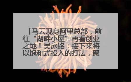 马云现身阿里总部，前往“湖畔小屋”再看创业之地！吴泳铭：接下来将以饱和式投入的打法，聚焦于几大核心战役