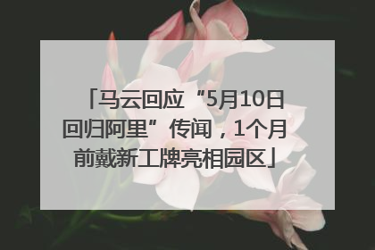 马云回应“5月10日回归阿里”传闻，1个月前戴新工牌亮相园区