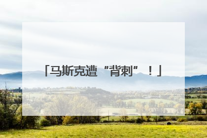 马斯克遭“背刺”！