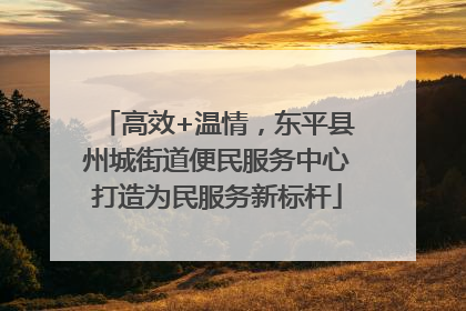 高效+温情，东平县州城街道便民服务中心打造为民服务新标杆