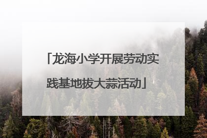 龙海小学开展劳动实践基地拔大蒜活动