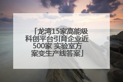 龙湾15家高能级科创平台引育企业近500家 实验室方案变生产线答案