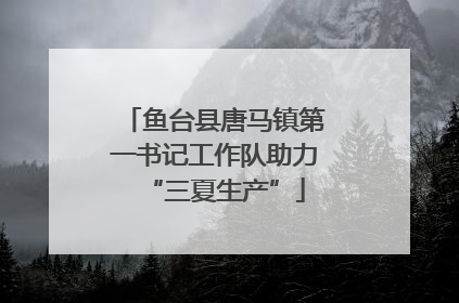 鱼台县唐马镇第一书记工作队助力“三夏生产”