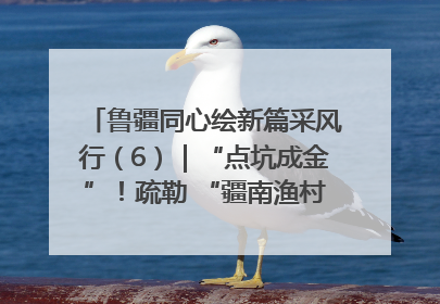 鲁疆同心绘新篇采风行（6）｜“点坑成金”！疏勒 “疆南渔村” 从废弃坑塘变身全国垂钓胜地