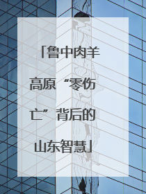 鲁中肉羊高原“零伤亡”背后的山东智慧