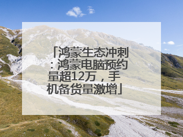 鸿蒙生态冲刺：鸿蒙电脑预约量超12万，手机备货量激增