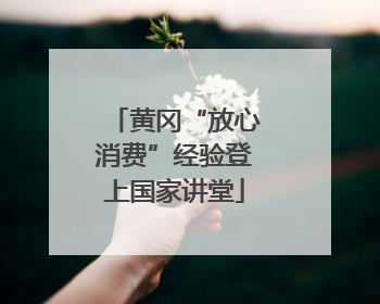 黄冈“放心消费”经验登上国家讲堂