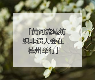 黄河流域纺织非遗大会在德州举行