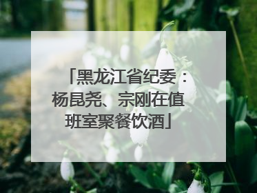 黑龙江省纪委：杨昆尧、宗刚在值班室聚餐饮酒