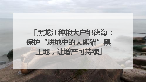 黑龙江种粮大户邹德海：保护“耕地中的大熊猫”黑土地，让增产可持续