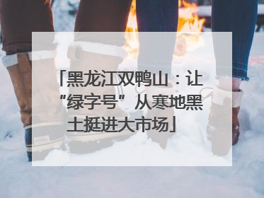 黑龙江双鸭山：让“绿字号”从寒地黑土挺进大市场
