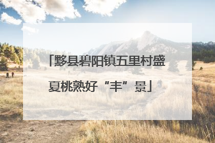 黟县碧阳镇五里村盛夏桃熟好“丰”景
