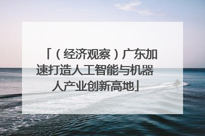 （经济观察）广东加速打造人工智能与机器人产业创新高地