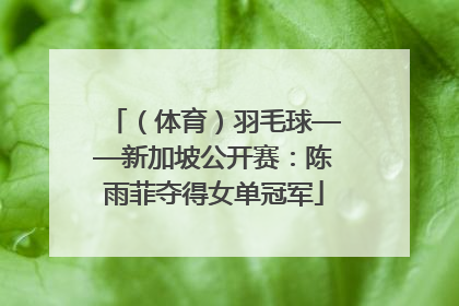 （体育）羽毛球——新加坡公开赛：陈雨菲夺得女单冠军