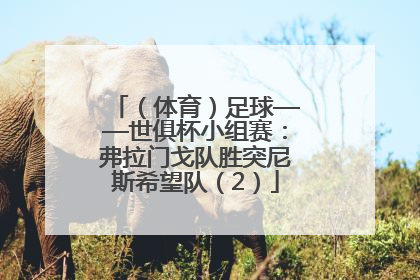（体育）足球——世俱杯小组赛：弗拉门戈队胜突尼斯希望队（2）